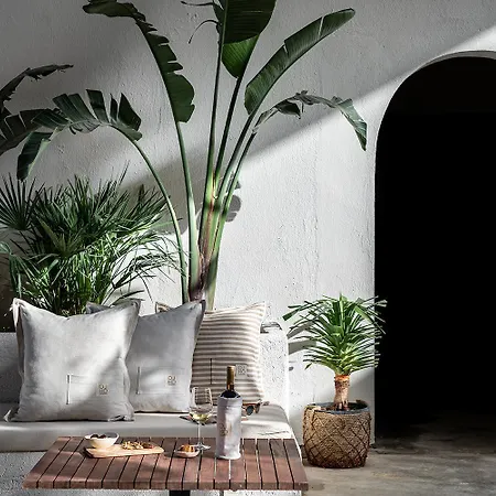 ホテル Gaia Bazaar アラカティ