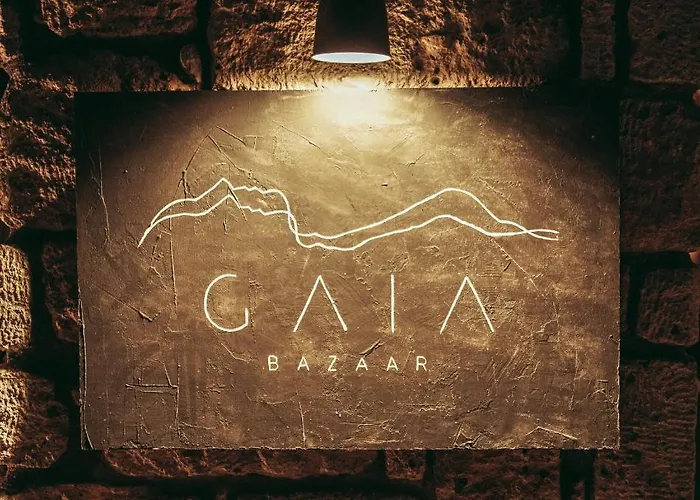 호텔 Gaia Bazaar *