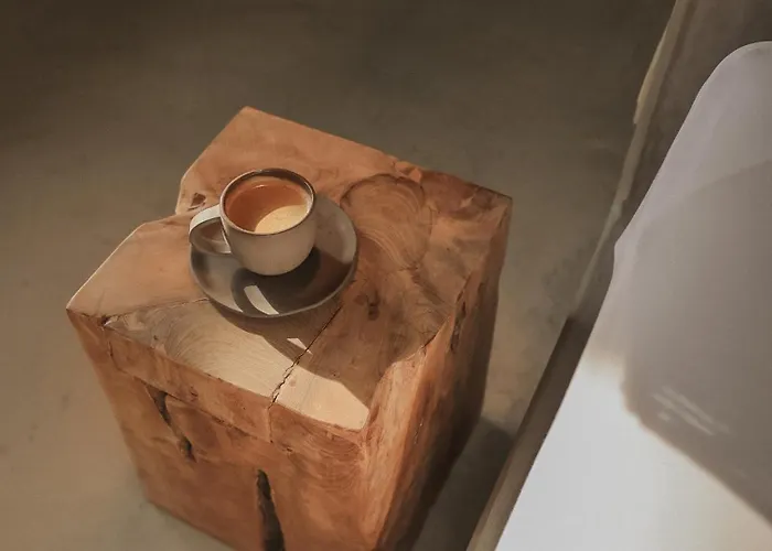 Gaia Bazaar 酒店 阿拉恰特